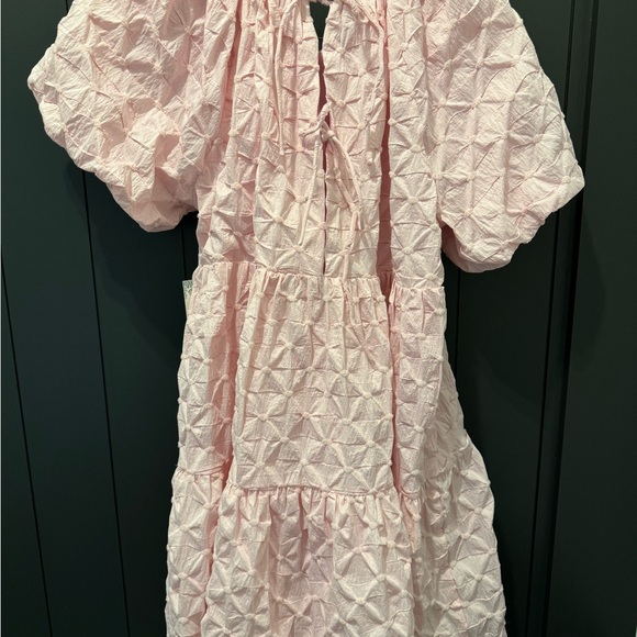 Tuckernuck Hyacinth House Pink Diamond Textured Isabella Mini Dress NWT size M - Picture 5 of 6